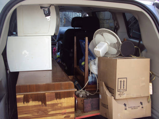 Best Shed Removal  in Bloomington, MN
